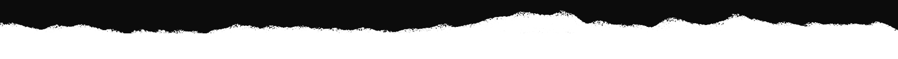 A black and white photo of grass with no leaves.